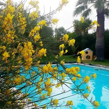 La Ginestra B&B 트라니