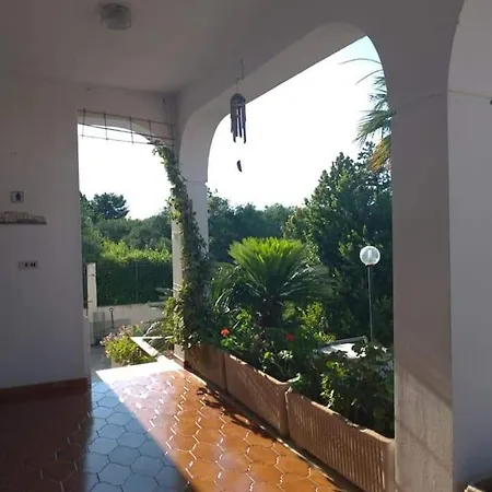 La Ginestra Trani