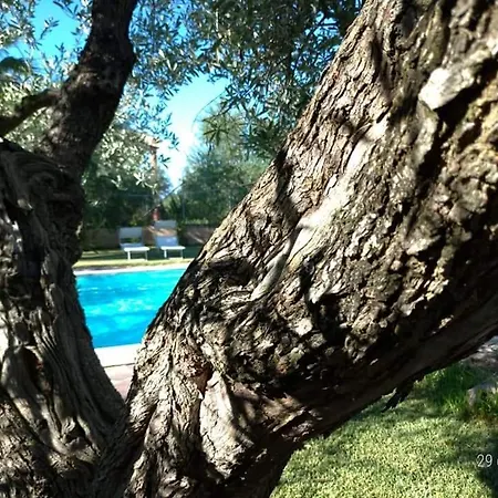 Bed & Breakfast La Ginestra 4*
