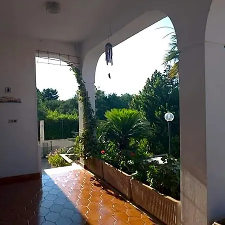 Bed & Breakfast La Ginestra 4*